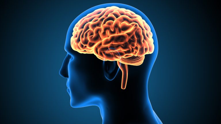 دربارۀ این مقاله بیشتر بخوانید Why Are Some People Better at Learning Languages? The Neuroscience Behind Language Aptitude