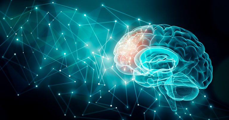 دربارۀ این مقاله بیشتر بخوانید What Happens to the Brain When We Forget a Language?