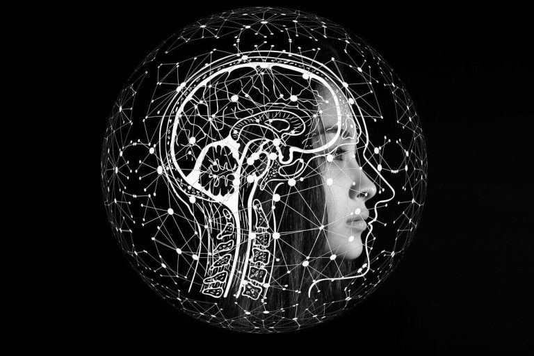 دربارۀ این مقاله بیشتر بخوانید How Does the Bilingual Brain Work?